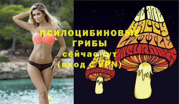 Альфа ПВП Козельск
