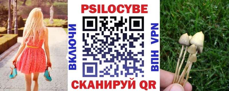 Псилоцибиновые грибы GOLDEN TEACHER  Купить закладки  Лесосибирск 